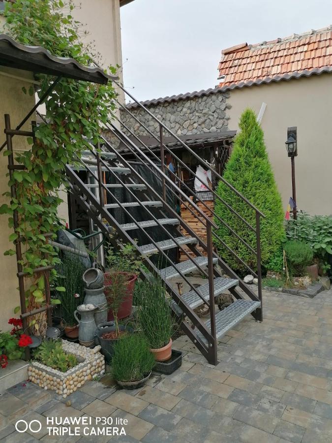 Hotel Rasnov Retreat Esterno foto